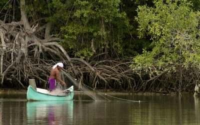 Ecuador Mangrove Week