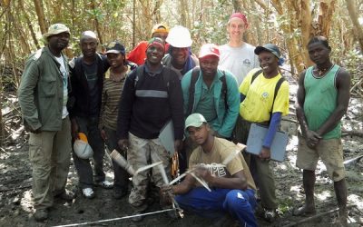 Blue Carbon  Zambezi Delta