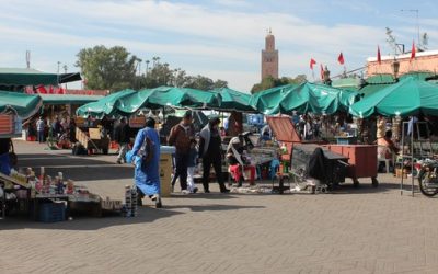 Blue Carbon at COP22
