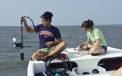 The Women of Blue Carbon