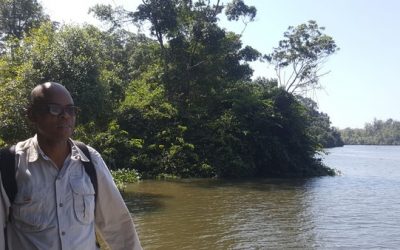Top takeaways from a mangrove Expert
