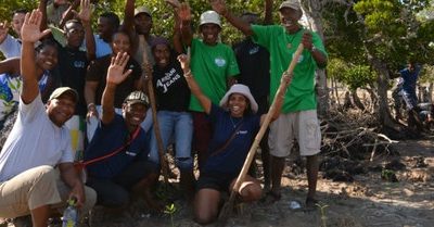 Community key for successful mangrove restoration