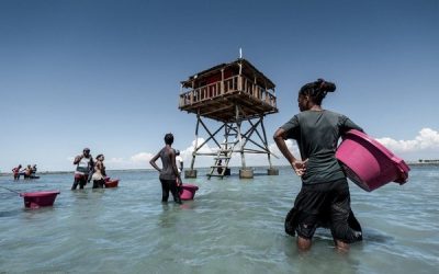 Sustainable sea cucumber farming in Madagascar